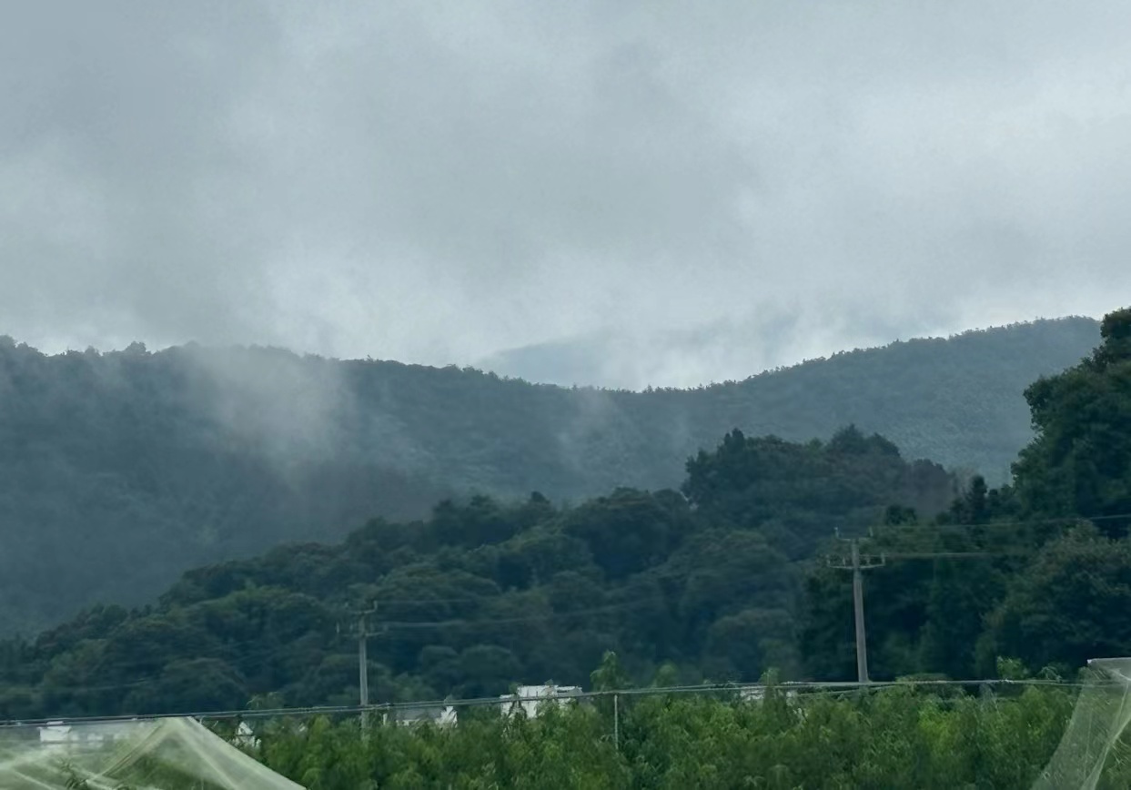 ഺ֮С۹⡱-----ա(hu)(sh)`