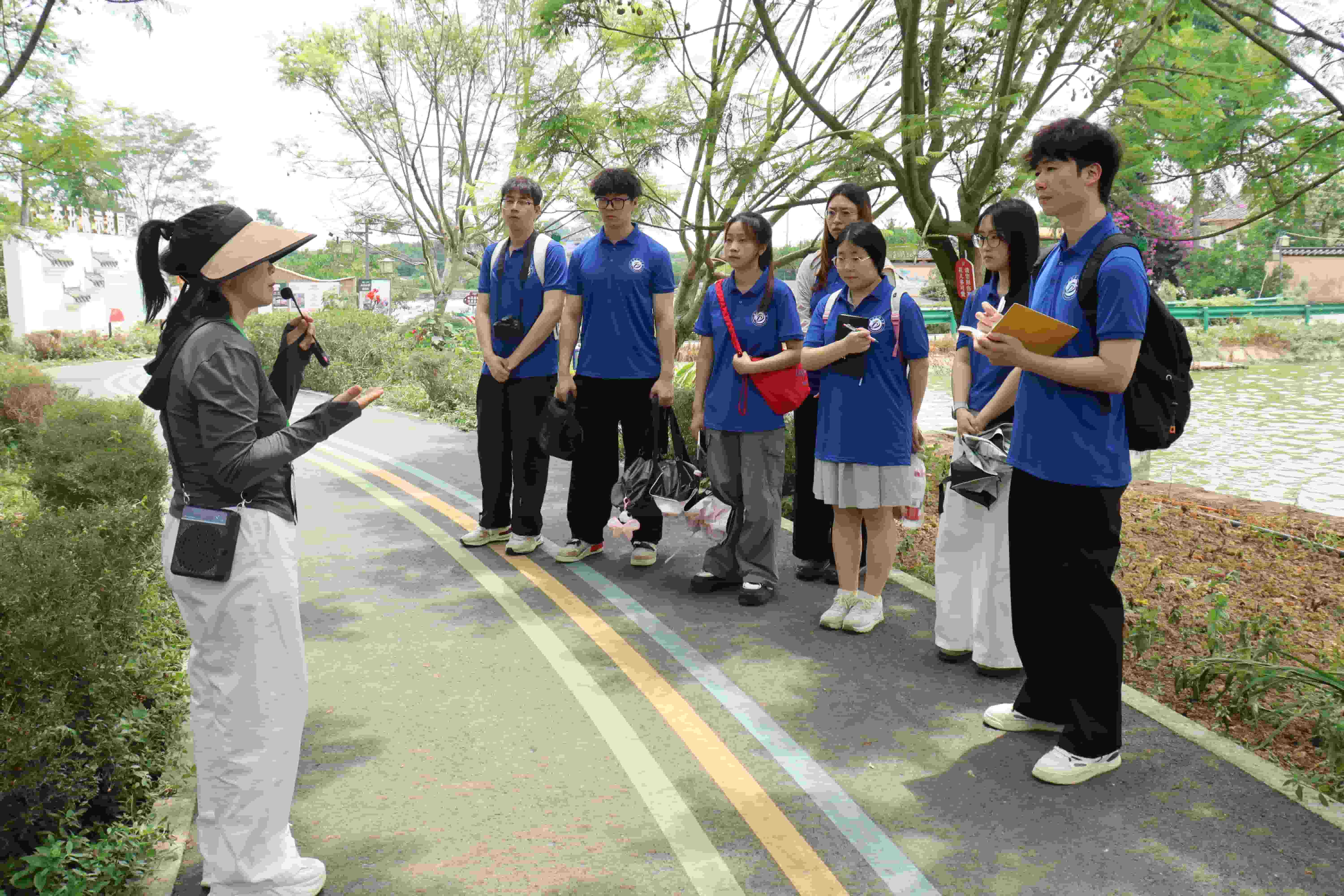 ʯʹWWMFţ壬̽ldlչ֮·