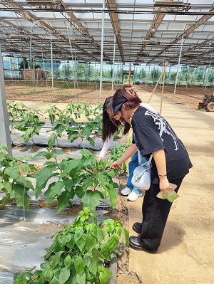 WrL{---۽GɫaģʽrIld