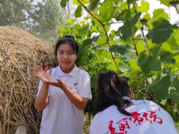 ݼbI(y)g(sh)W(xu)Ժ(sh){(dio)r(nng)I(y)l(f)չֱl(xing)d