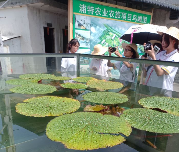 ؑcWԺWrIУlIdr·ഺd