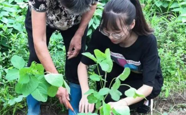 лĻ`̽δˮWԺ`ھ򡰄rģʽ