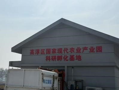 ΢ňDƬ_20250220112000