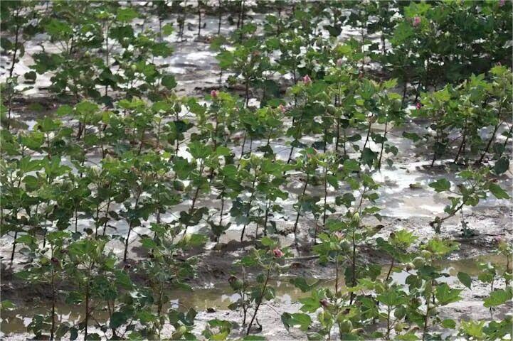 ǻ(sh)`С(du)_չ(sh){(dio)л(dng)