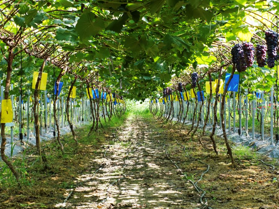 KW`FMСܬF(xin)rI(y)ҊCx