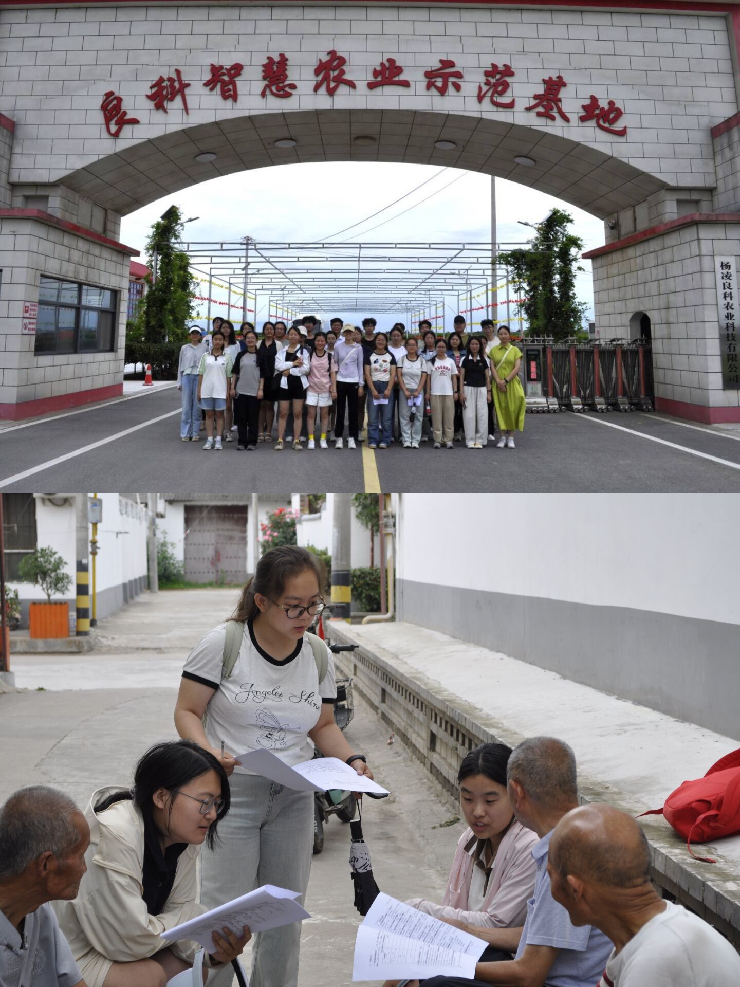 ഺxd|rֿƼWrWĴ匍`{