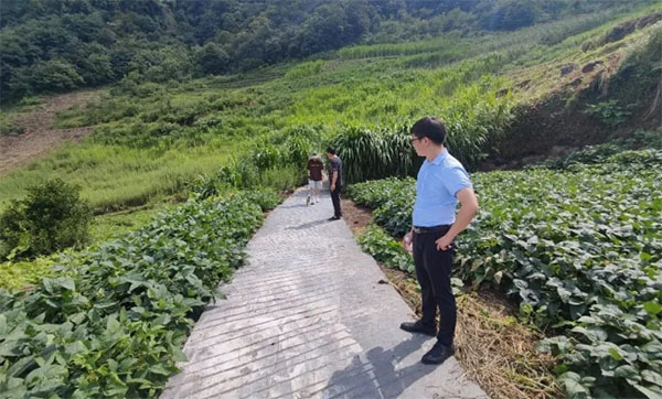 ҊCɽgС׃a(chn)I(y)·