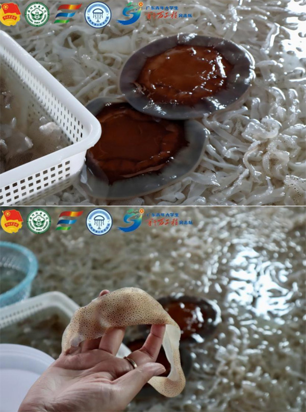 ǧf̡Day2 | ̽غؼӹSһֱckCy}ƽ