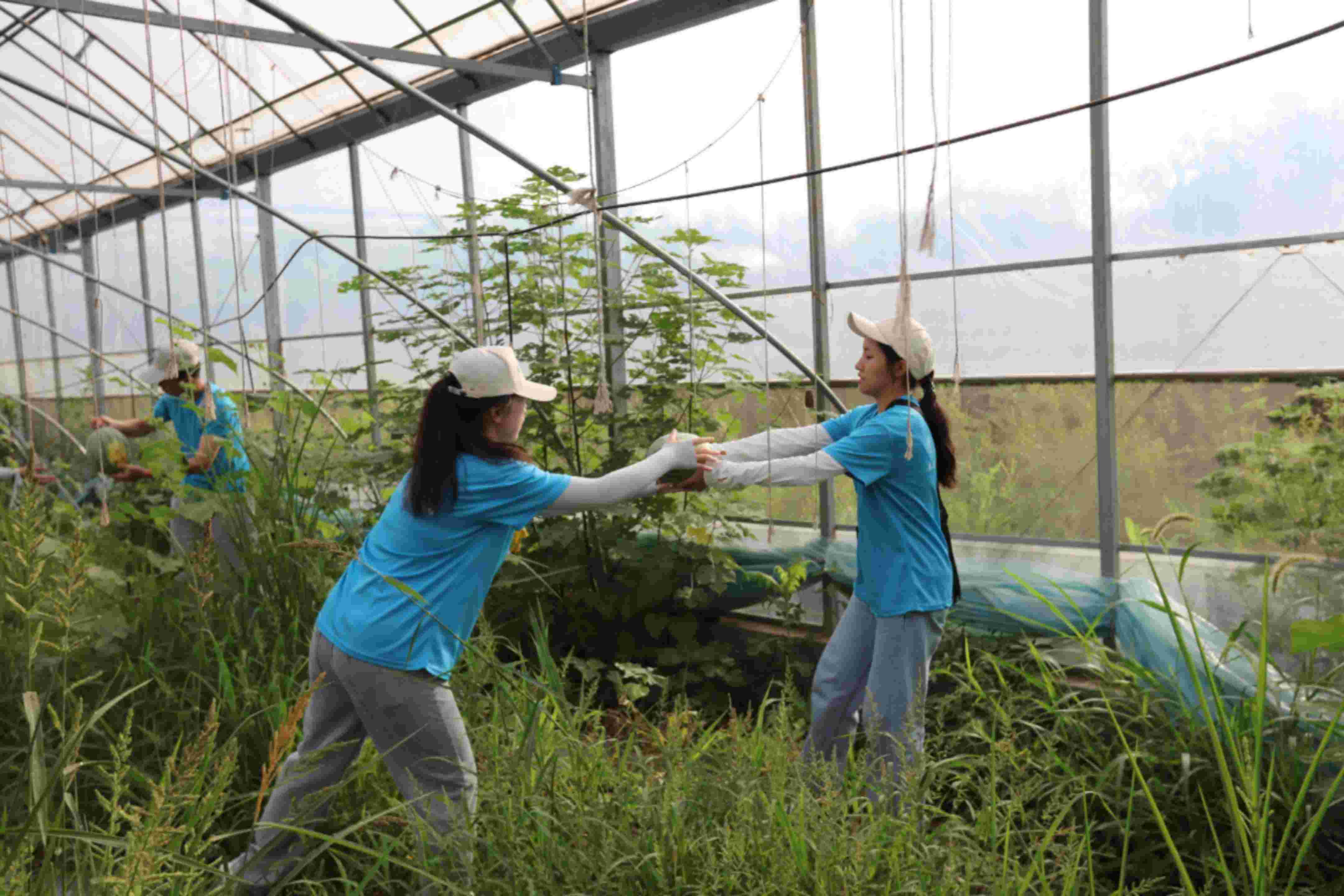 �D��F꠳ɆT���r���M�Є������`