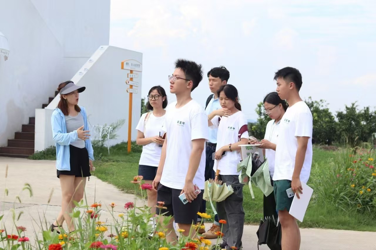 Ar(nng)Gx־Ը(w)(du)r(nng)ֱx֦Ů(zhn)l(f)չ