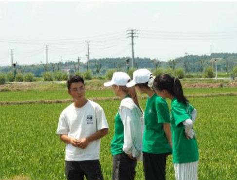 ̡ͬ,Ƽxƽl(xing)dy}