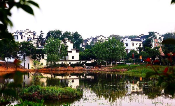 ϾͨI(y)g(sh)W(xu)Ժ\ݔW(xu)Ժ۽l(xing) l(xing)d{(dio)ЈFԴ_չ`