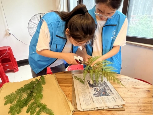 ώW(xu)ƌW(xu)W(xu)ԺС࣬ɭСG֮tI(lng)B(ti)G`{(dio)ЈF_չֲ(bio)