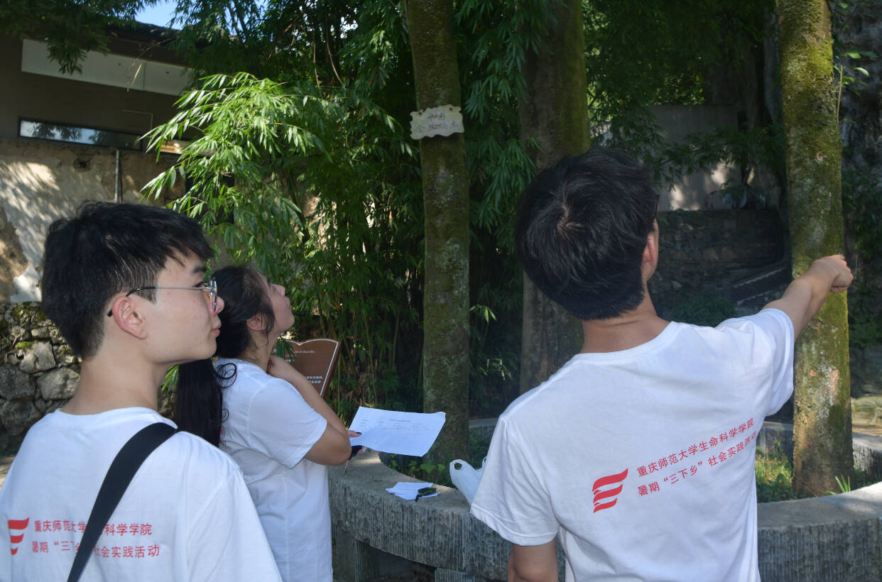 Řؚq£ഺo(h)݆؎W(xu)Ӻμ?gu)rŘ{(dio)