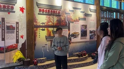 㽭rִWF꠸ָϴ_չ{л