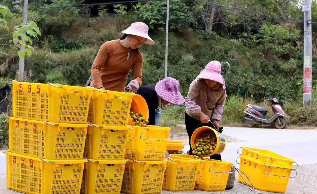 ͨ֌Wӣӯʢأr(nng)æ