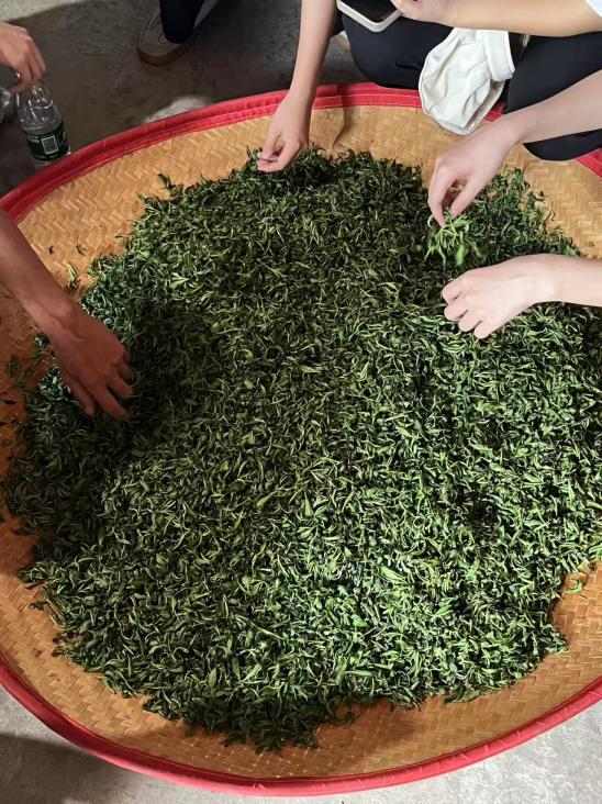 Ϫ֪СֲһƬ~˄ laId