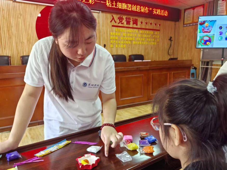 W(xu)Ժl(xing)(sh)`Ȥζo(h)L