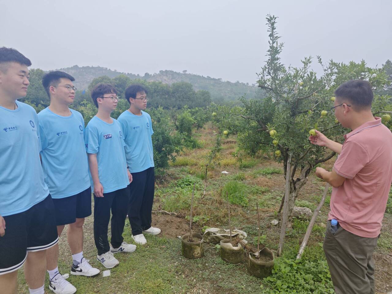 ؚT⮐ʡ(sh)W(xu)Ժ(hu)(sh)`F(tun)M(jn)ʯ֮l(xing)Ϳɽ