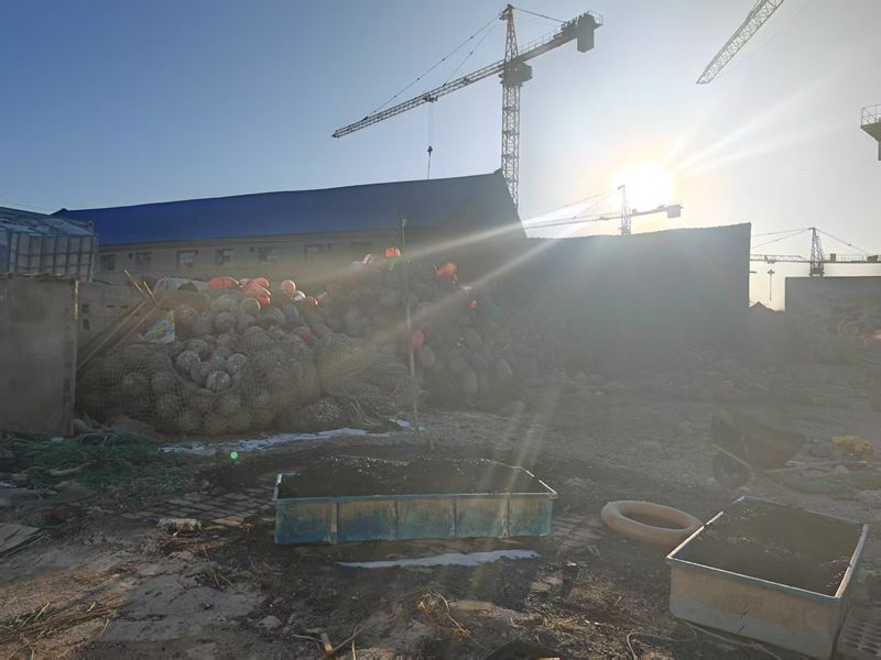 ɽ|Wwδ{ЈFԿƼ֮o{ɫ