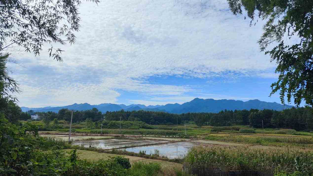 ꖿhȺ壺ˇ־Ը{УLȻhoƪ