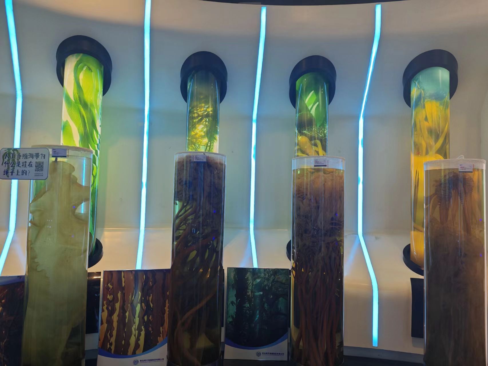 ʯ{̼^`ꠣ̽Brֵcrֵ