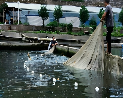 lsʢġ`ഺ tƴWwWԺ`clϣ֮