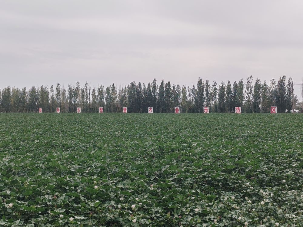 ɽ|W)ɣr飬BС{ЈF½ߎ128F_չ{