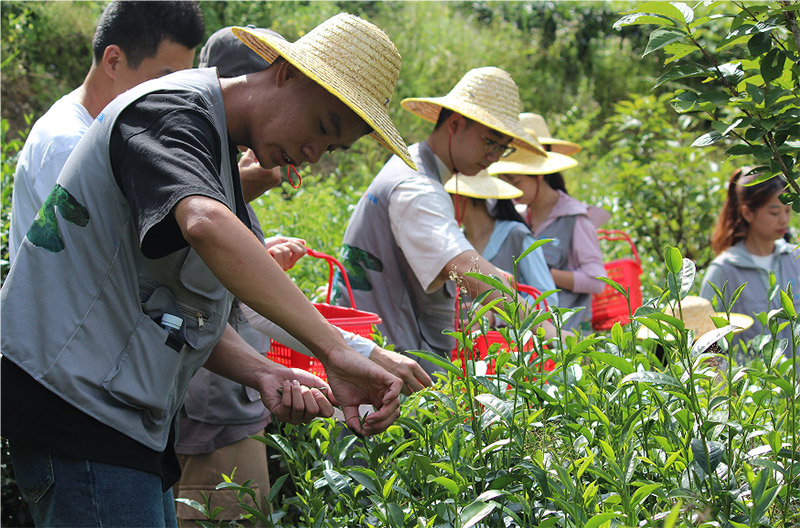 V|W(xu)Ժ(jng)(j)W(xu)Ժl(xing)dȺSഺ(dng)r(sh)ͻ(du)_չl(xing)a(chn)I(y)