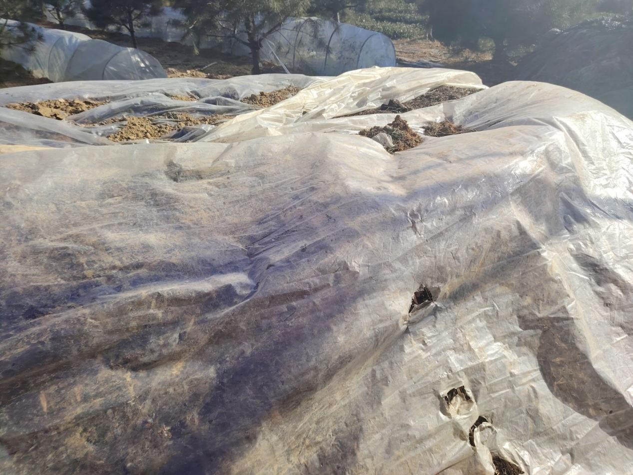 վG°l(f)չһ~衱̽·