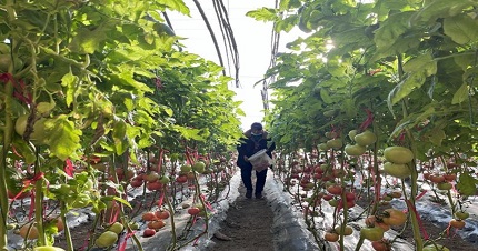 Pעr􌍵ؠrƄӾGɫlչ