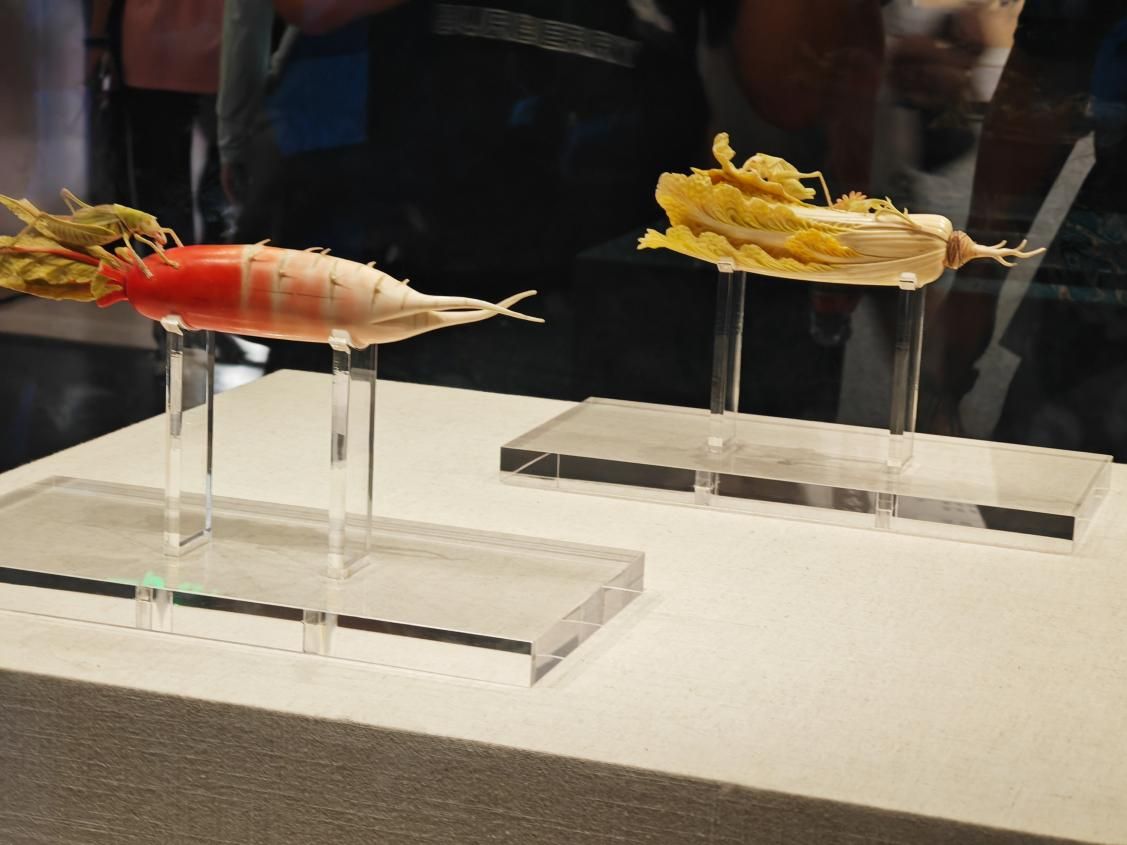 mݴWWӸϲԺ_չ̽أϲԺ֮á`