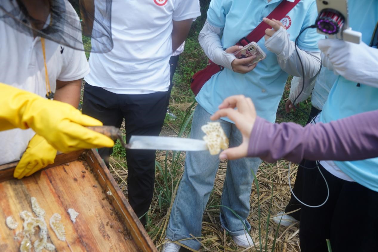 ؔIWԺֱld۷Bֳ֪Rռ