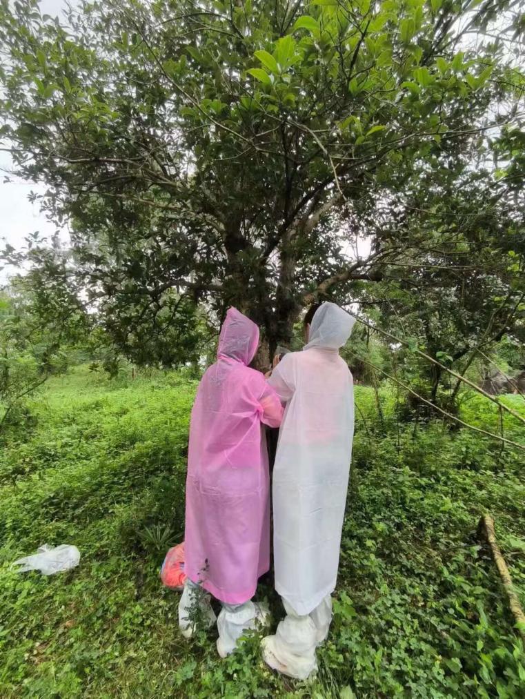 rֿƼWYԴhWԺh_չB{