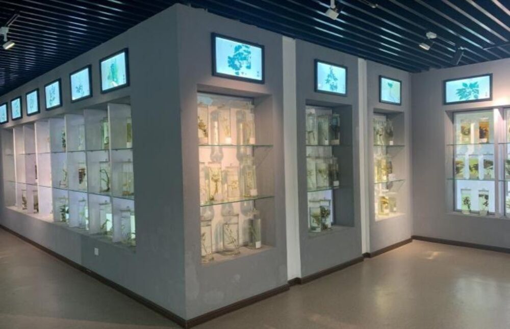 MAԭ _t(y)֮áϾt(y)ˎWн`F