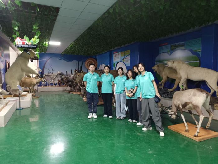 ϷʹI(y)W(xu)(sh)`F(tun)(du)_չ{(dio)