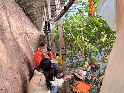 ١ʡaNCϰlչ GɫrIȫaI朘