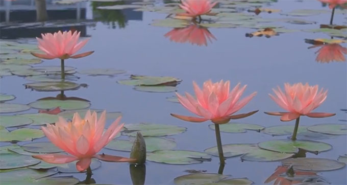 УTڵ˯ɏ׌ĴՌW(xu)Ժ׃