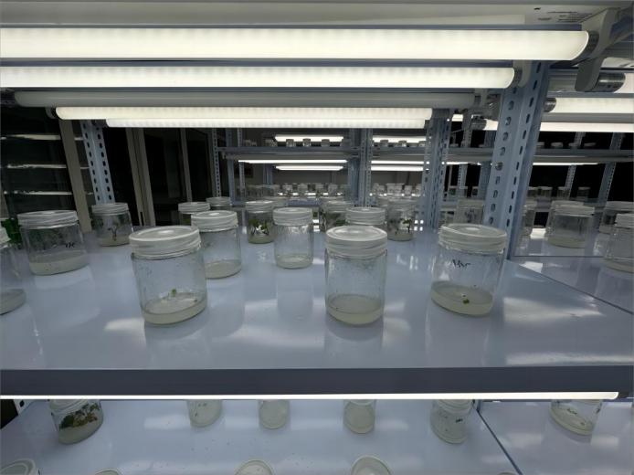 ڌW(xu)r(nng)Ƽdr(nng)r(nng)W(xu)Ӕy^Cԇ(yn)վ