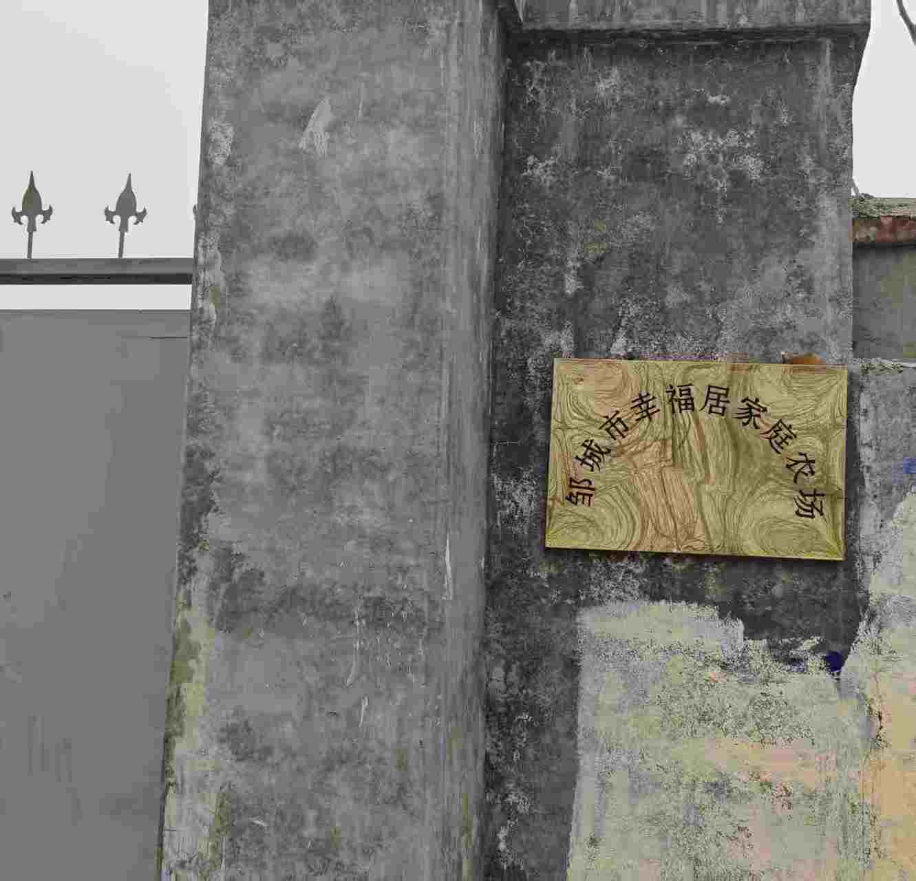 ഺ^  ur(nng)I(y)W(xu)ݘI(y)W(xu)ԺI(y)(hu)(sh)`F(tun)M