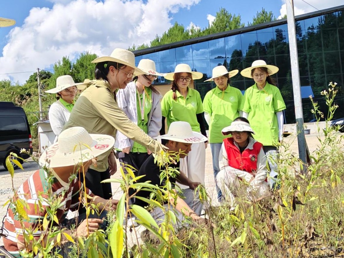 ژIgWx`е¡ɽnӿƼСԺ`ϡlo