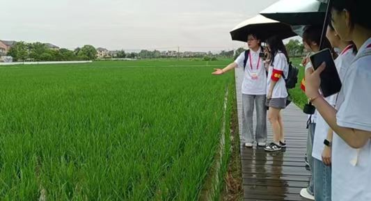 ڽǣ֪Rġ㽭IWԺI܅f㽭{