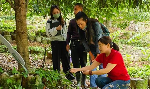 ƼɆTF(tun)~Nֲ{(dio)