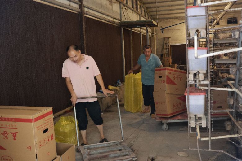 ώWWԺoBIڌ`F_չ|uBֳ{л