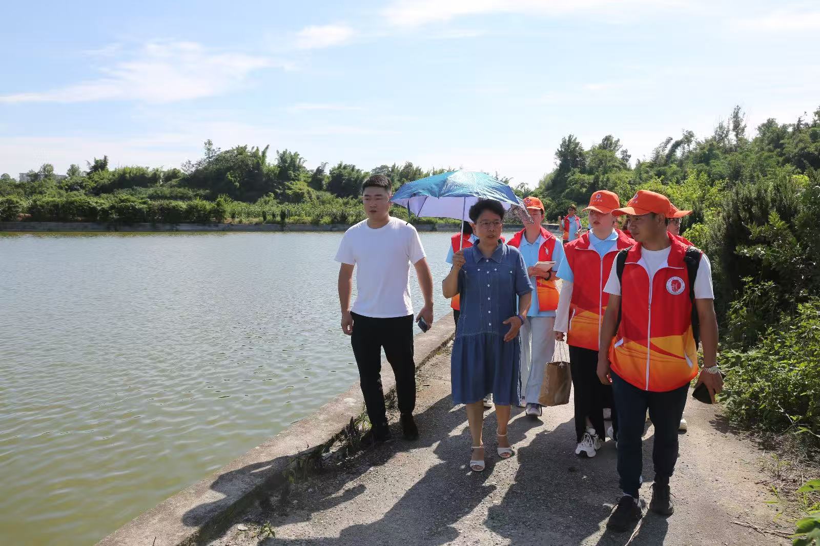 pӳ(w)(du)_չ~a(chn)I(y)  wl(xing)   ͜ůl(xing)(sh)`