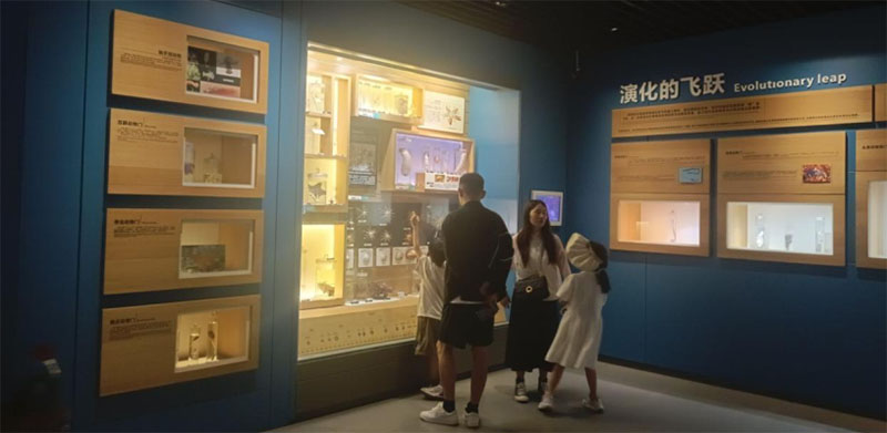 uˮ^ڌ(sh)`{(dio)Уĺ߽{(ln)ɫЇ(gu)