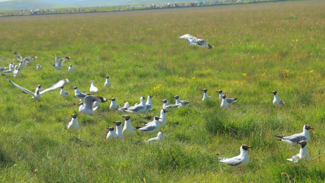 l(xing)M(jn)Еr(sh) | wڻcԭҊ(jin)CB(ti)֮