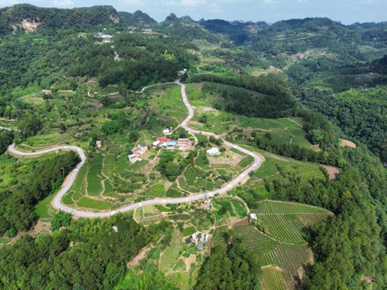 ഺ(mng)l(xing)·՟d;