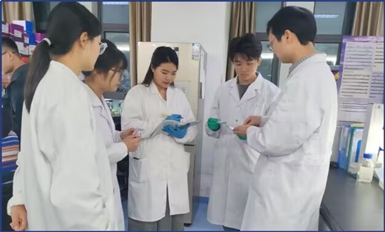 "Ѹ"(sh)l(f)t(y)F(xin)(chng)Y-DNAzg(sh)£˾x