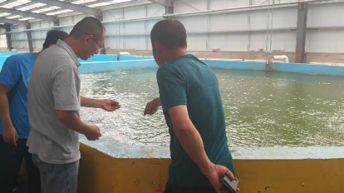 ~@M}ılļgܴaľW ƌWld